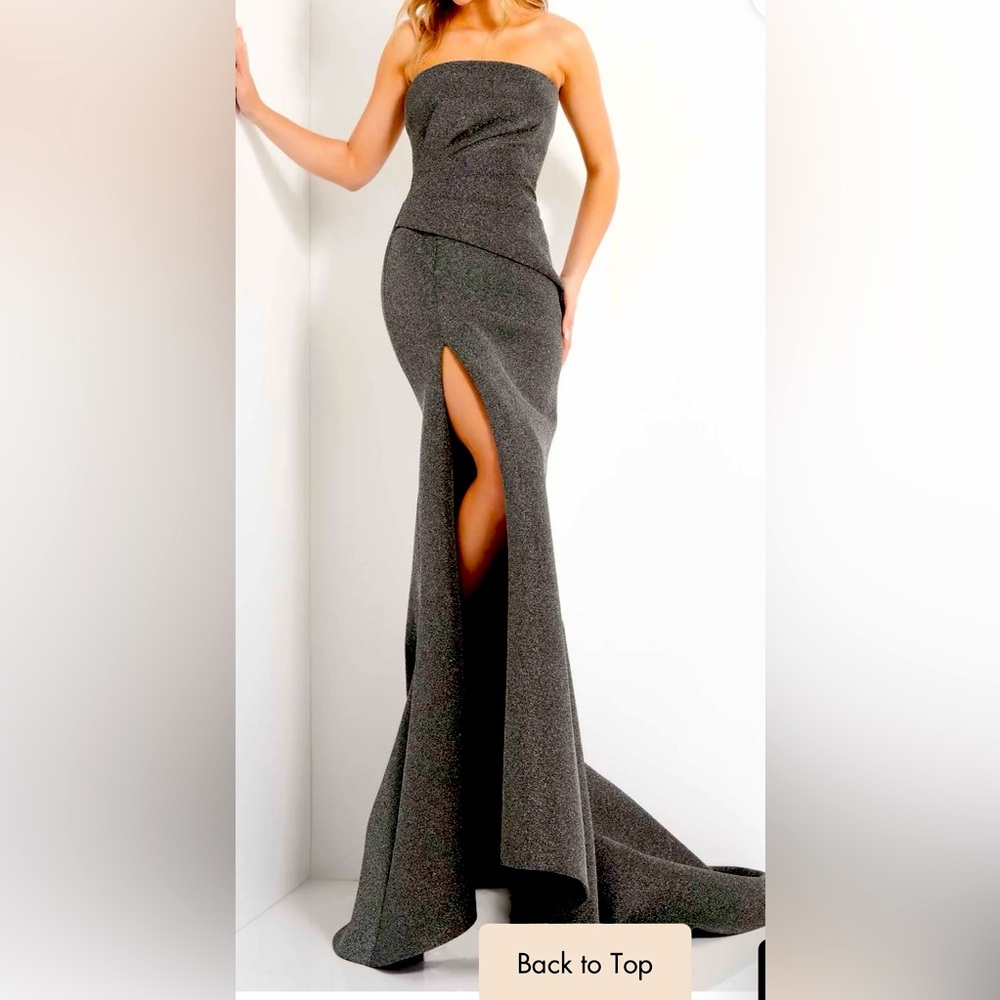 New long fitted silver dress.